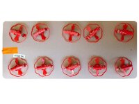 Sternflieger-Verbund