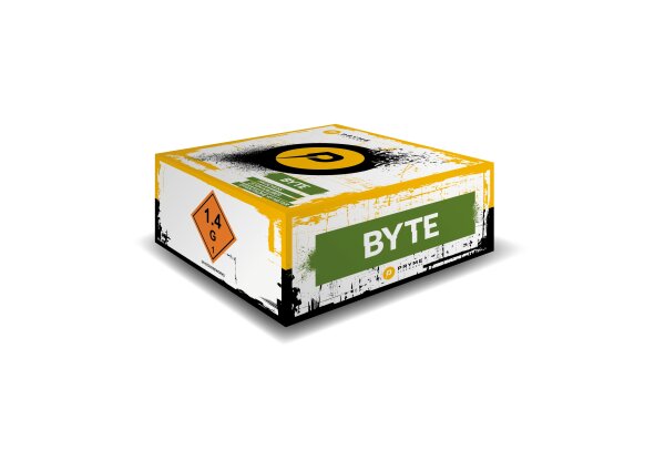 Byte
